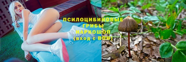 ALPHA PVP Мегион