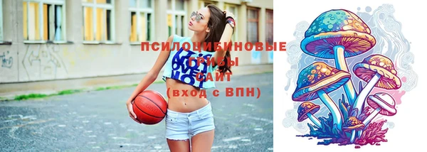 хмурый Медногорск