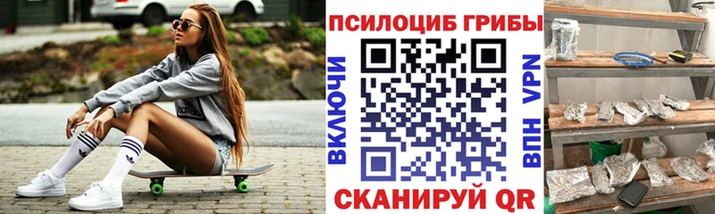 KRAKEN как зайти  Галич  Псилоцибиновые грибы Psilocybe 